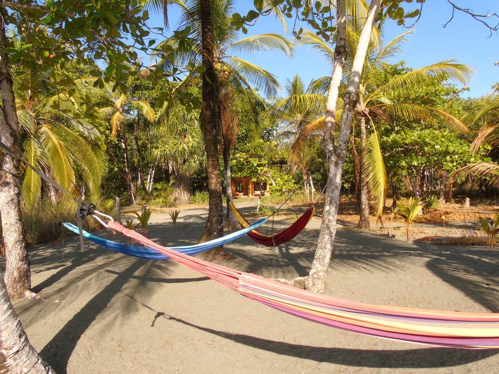 Punta Preciosa Bed & Breakfast Puerto Jimenez Exterior photo