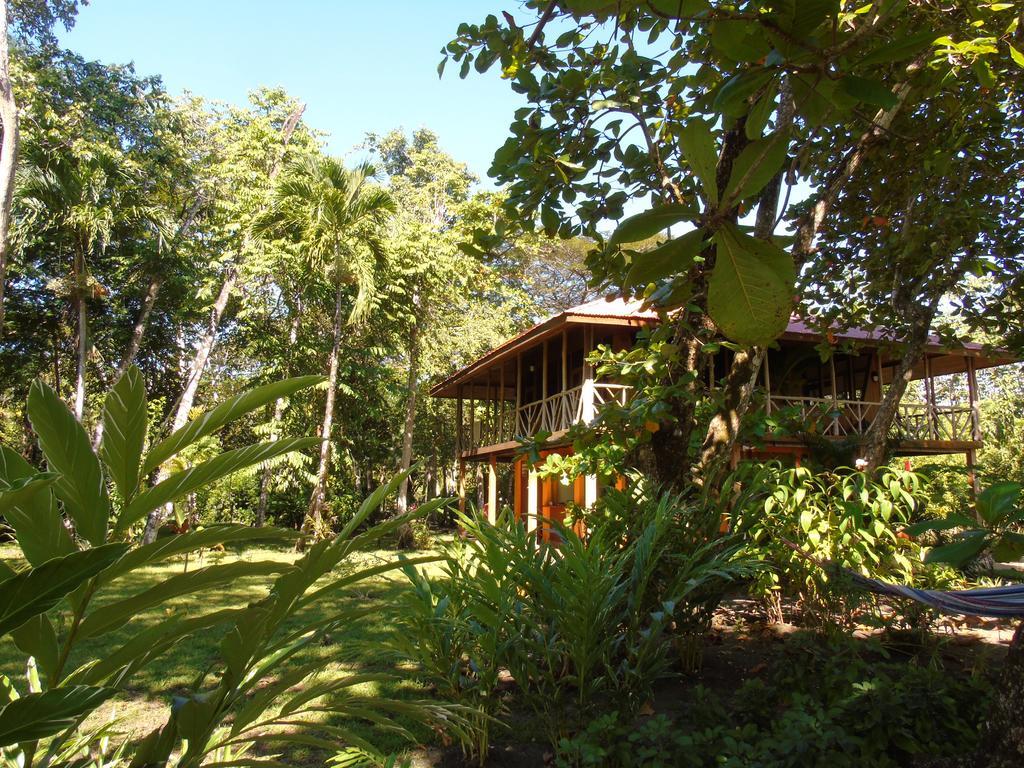 Punta Preciosa Bed & Breakfast Puerto Jimenez Exterior photo
