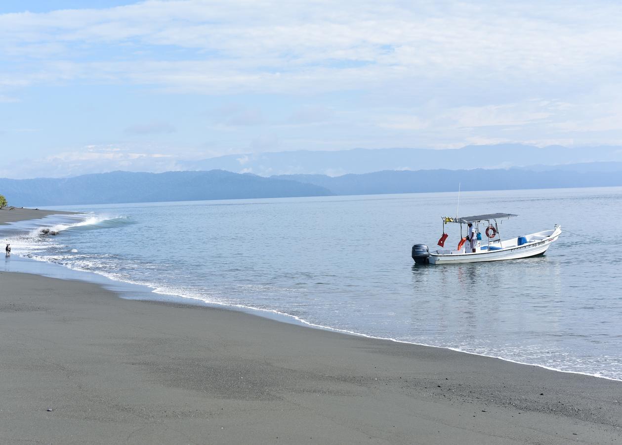Punta Preciosa Bed & Breakfast Puerto Jimenez Exterior photo